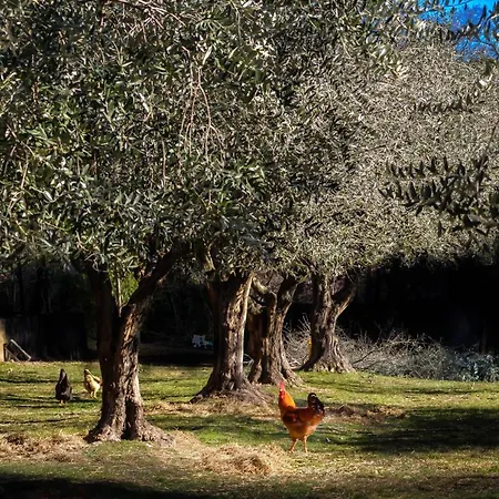 Bed & Breakfast La Gemma Sul 3*