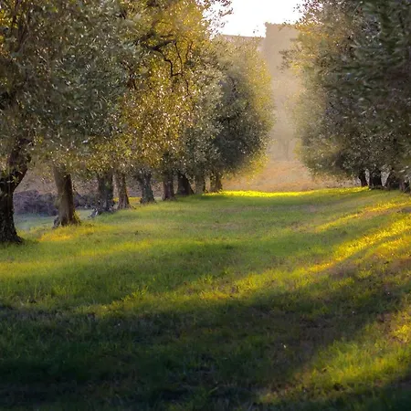 La Gemma Sul Bed & Breakfast Manerba del Garda